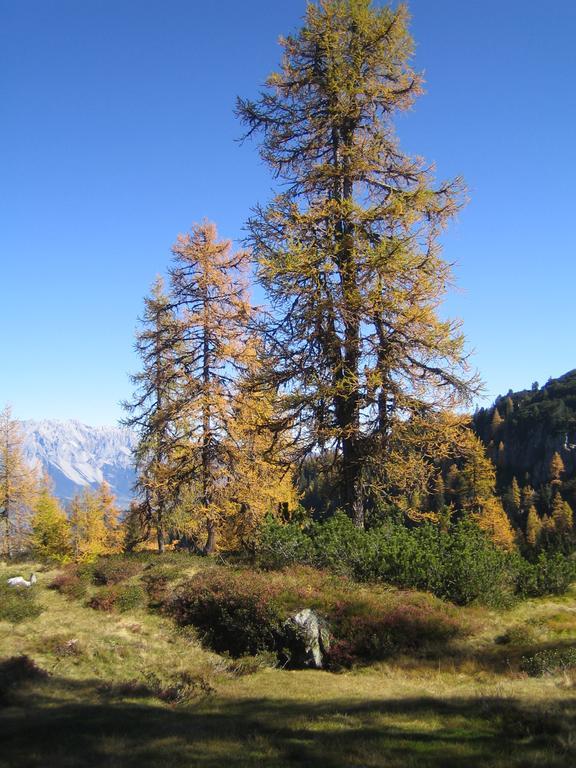 Appartement Ginschel Altenmarkt im Pongau Bagian luar foto